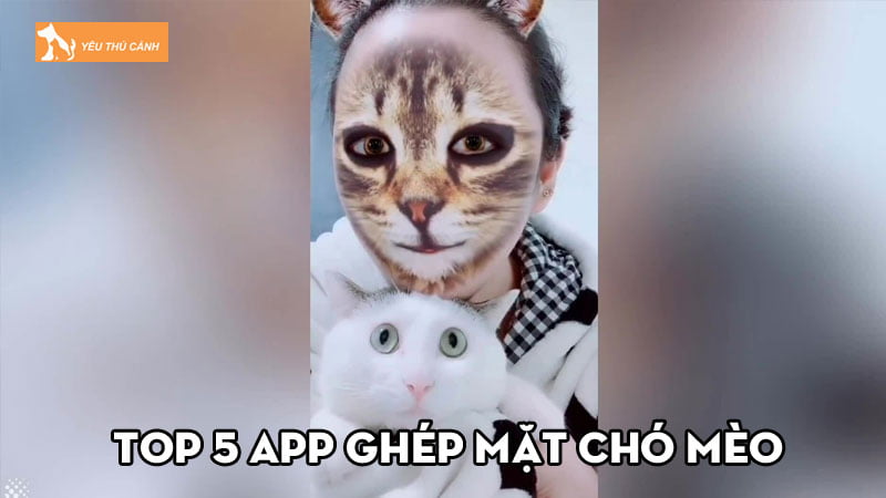 TOP 5 app ghép mặt chó mèo cực đáng yêu trên điện thoại