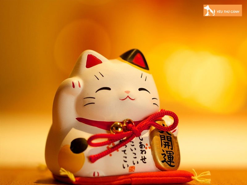 y-nghia-mot-so-hinh-tuong-dac-trung-cua-meo-than-tai-1-thucanh