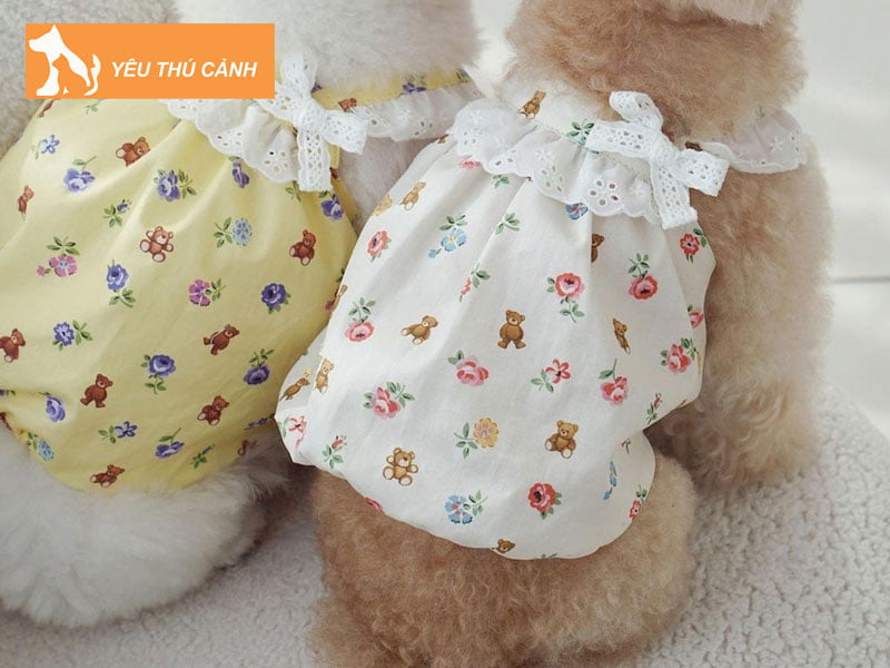 cach-may-quan-ao-cho-cho-1-thucanh