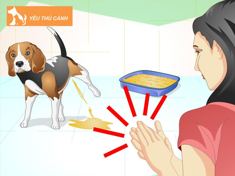 nhung-buoc-day-cho-di-ve-sinh-dung-cho-don-gian-de-thuc-hien-3-thucanh