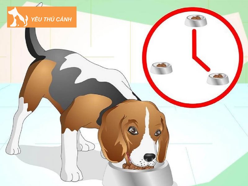 nhung-buoc-day-cho-di-ve-sinh-dung-cho-don-gian-de-thuc-hien-thucanh