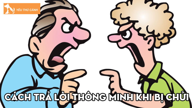tong-hop-nhung-cach-tra-loi-thong-minh-khi-bi-chui-thucanh