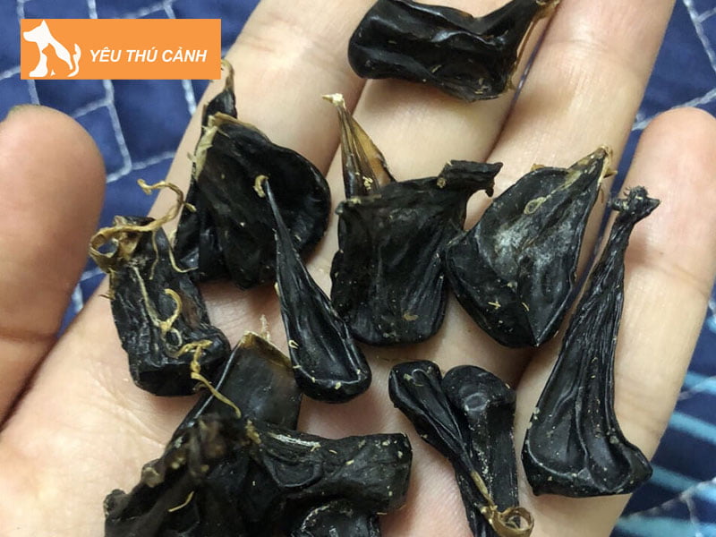 bai-thuoc-chua-benh-tu-mat-ky-da-thucanh