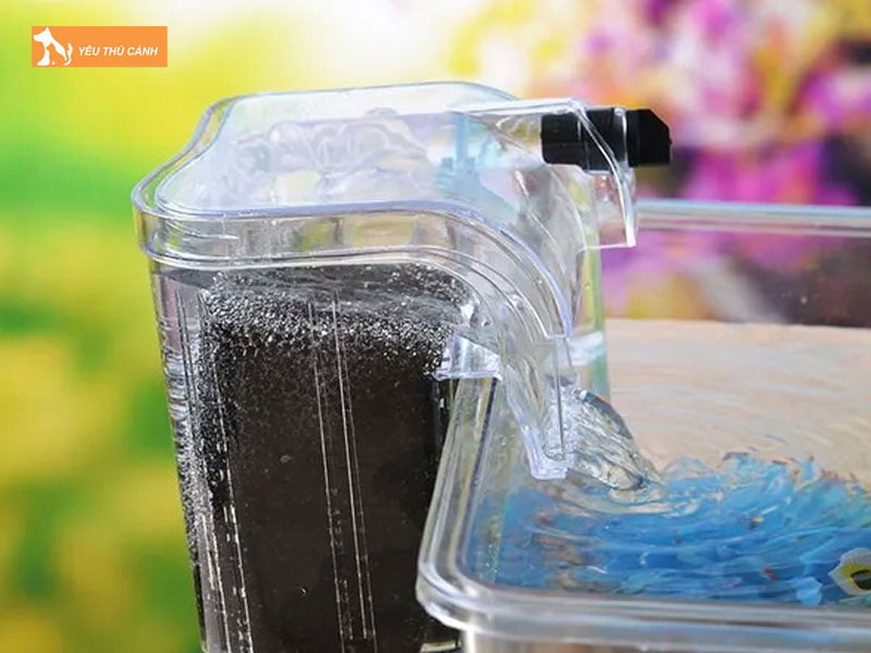 Bat-mi-cach-lam-bo-loc-nuoc-be-ca-don-gian-hieu-qua-tai-nha-thucanh