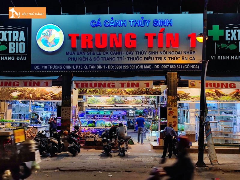 ca-canh-thuy-sinh-trung-tin-thucanh
