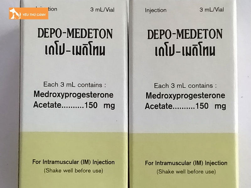 cac-bien-phap-tranh-thai-cho-cho-hieu-qua-hien-nay-2-thucanh