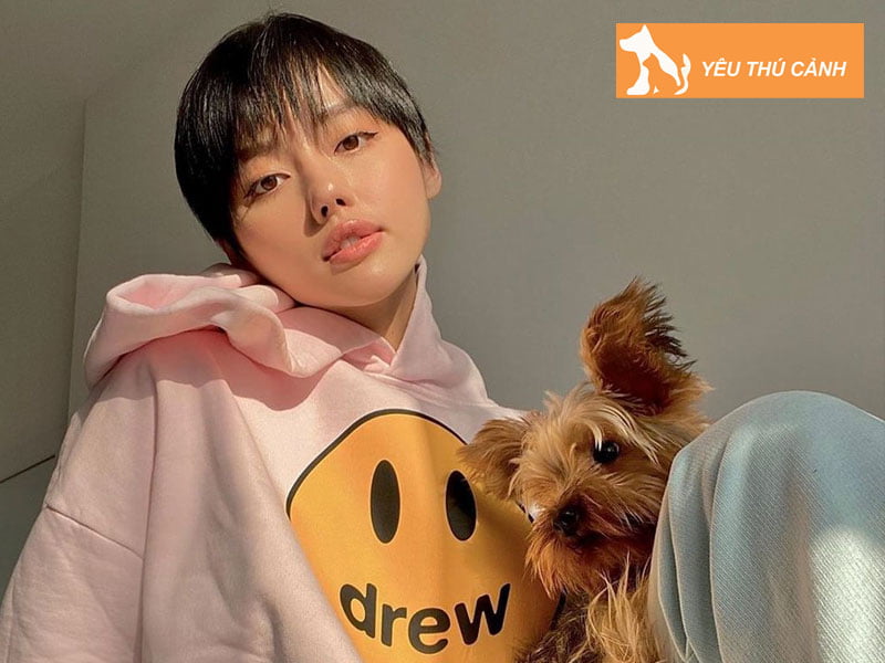 cac-cach-tao-dang-khi-chup-anh-cung-thu-cung-1-thucanh