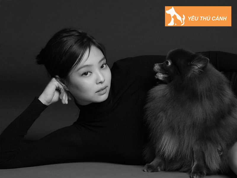 cac-cach-tao-dang-khi-chup-anh-cung-thu-cung-3-thucanh