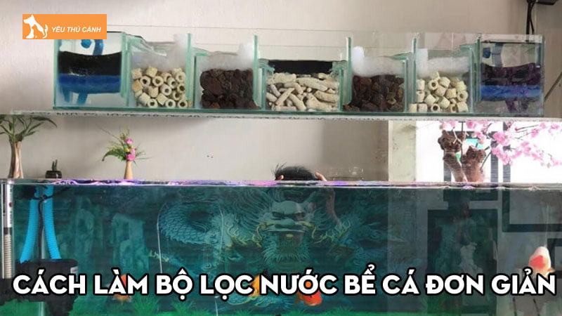 Bật mí cách làm bộ lọc nước bể cá đơn giản hiệu quả tại nhà