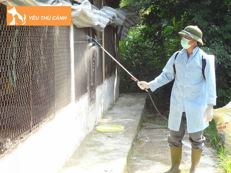 cach-phong-chong-mat-ga-thucanh