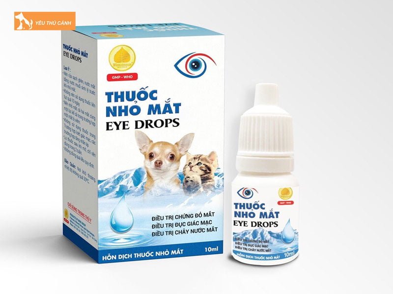 cach-phong-va-dieu-tri-cho-bi-do-mat-thucanh