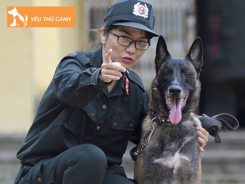 cach-thuan-phuc-cho-nang-cao-huan-luyen-cho-tan-cong-thucanh