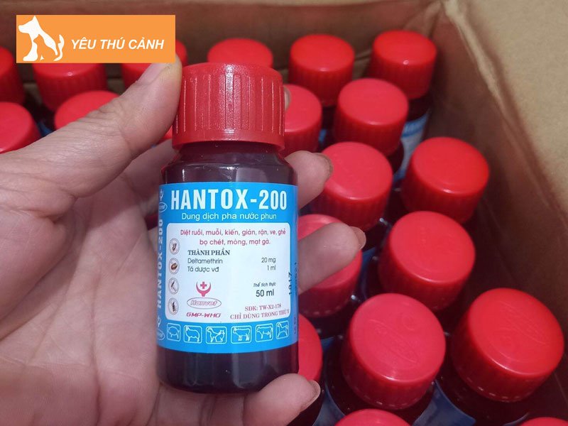 cach-tri-mat-ga-nhu-the-nao-1-thucanh