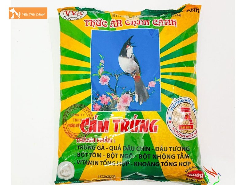 cam-vuong-viet-anh-thucanh