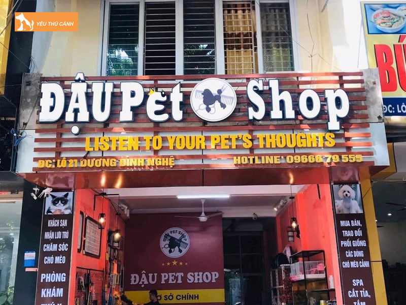 dau-pet-shop-cua-hang-thu-cung-o-thanh-hoa-uy-tin-thucanh