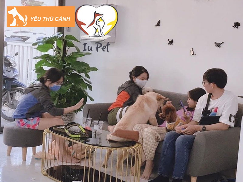 iupets-shop-cua-hang-thu-cung-q9-chat-luong-thucanh
