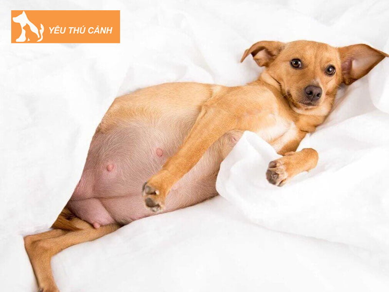 khi-nao-cho-phat-duc-thucanh