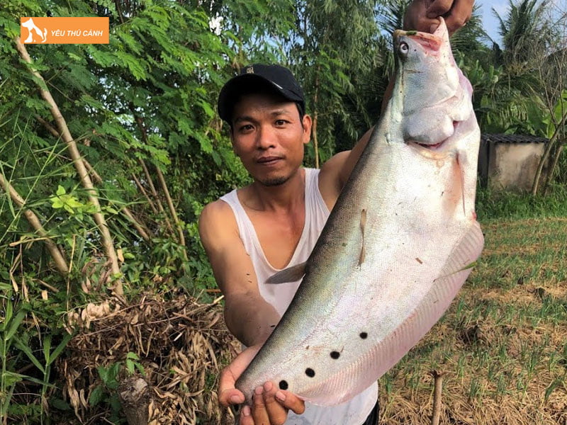 Kinh-nghiem-cau-ca-thac-lac-hieu-qua-thucanh