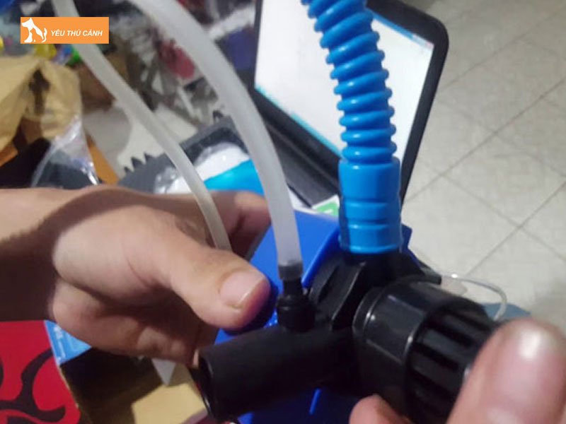 Lap-may-bom-va-ong-nuoc-thucanh