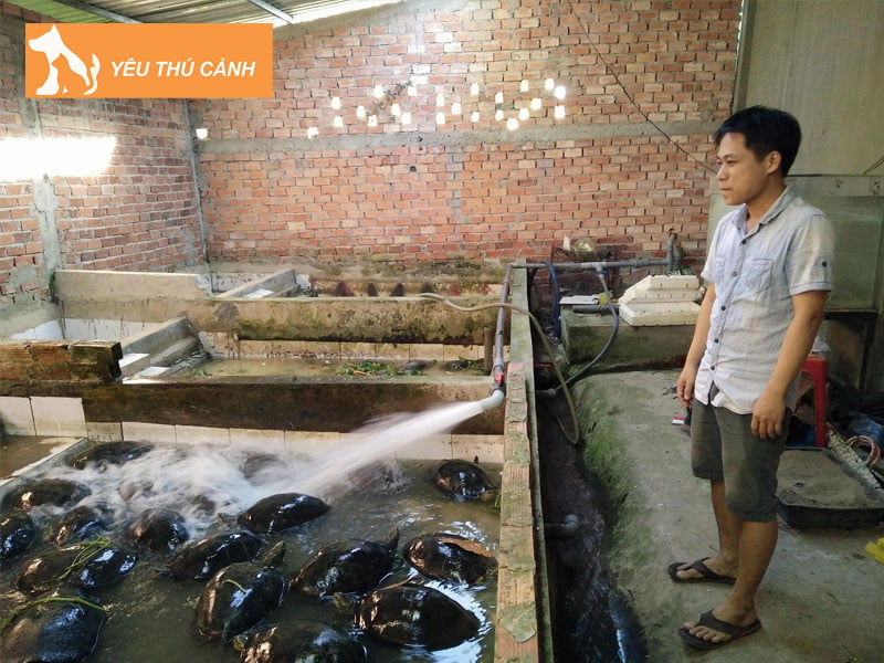 mot-so-dac-diem-cua-con-cang-duoc-thucanh