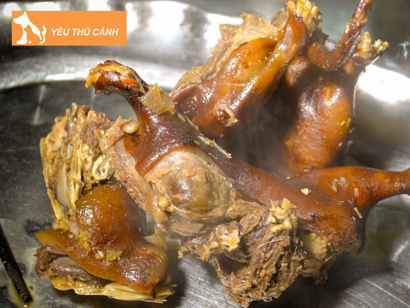 mua-dui-thit-cu-chi-thucanh