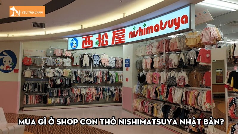 Mua gì ở shop con thỏ Nishimatsuya Nhật Bản? Kinh nghiệm mua sắm