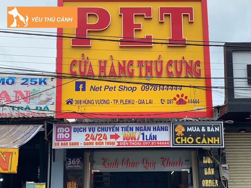 net-pet-shop-thucanh