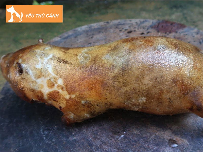 nha-hang-hai-san-baba-thucanh