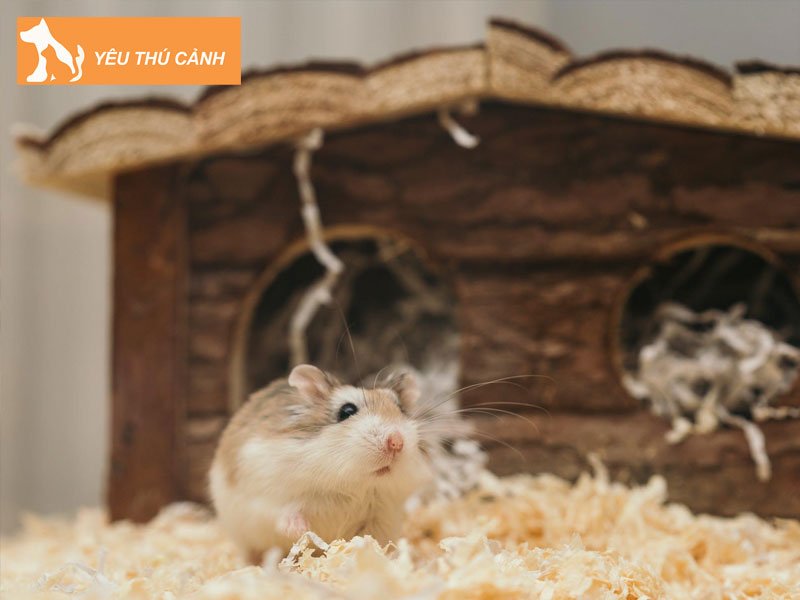 nhung-luu-y-khi-su-dung-mun-cua-thucanh