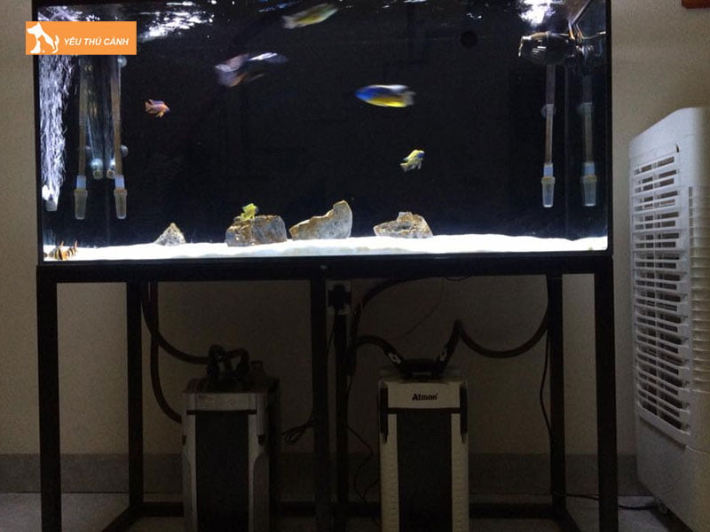 Su-dung-bo-loc-ben-trong-hoac-ben-ngoai-thucanh