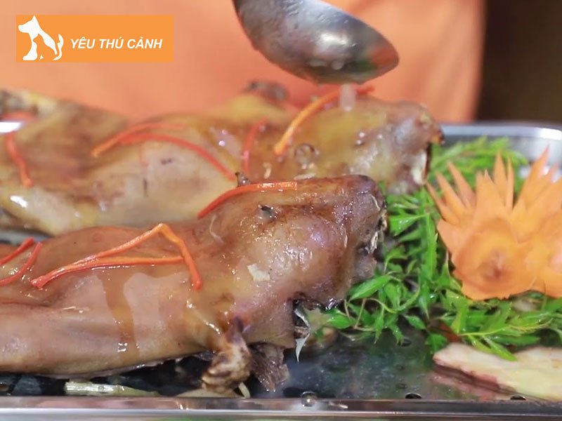 trai-dui-binh-chanh-thucanh