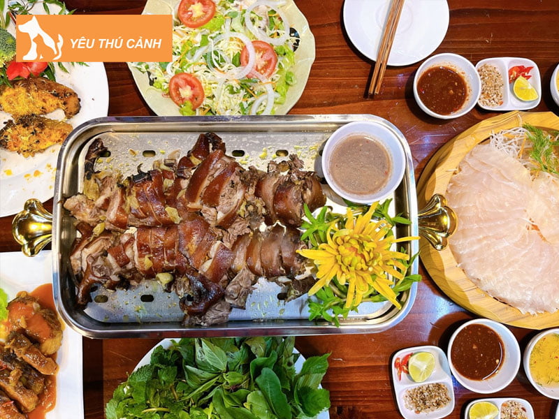 trai-dui-quynh-le-mua-dui-thit-o-ho-chi-minh-gia-tot-thucanh