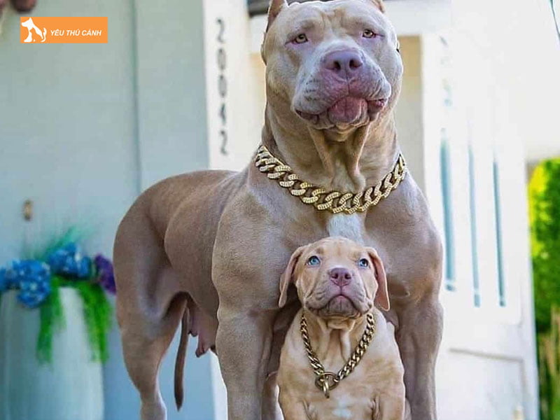 Cham-soc-suc-khoe-thucanh