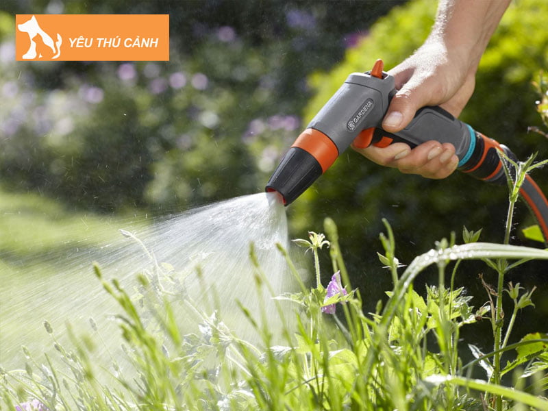 nguyen-nhan-dan-den-tinh-trang-cay-kho-heo-1-thucanh