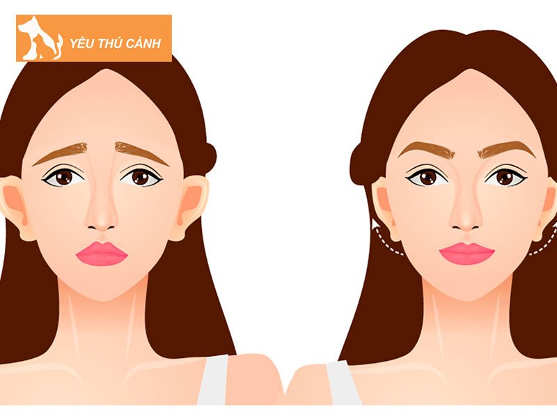 xem-tuong-tai-venh-co-ban-theo-3-dang-thucanh