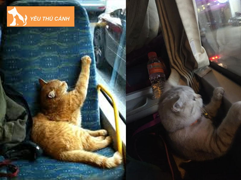 giai-ma-viec-dem-theo-meo-khi-di-xe-khach-thucanh