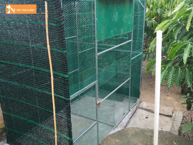 chuong-avi-la-gi-thucanh