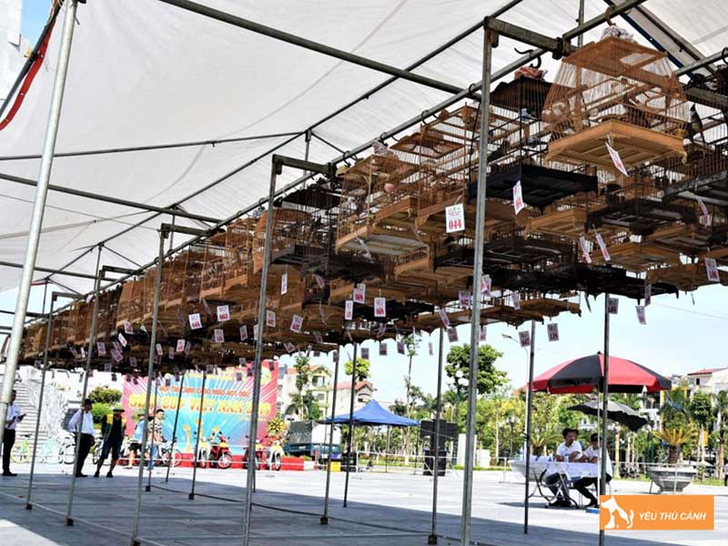 can-doi-che-do-nghi-ngoi-cho-chao-mao-thucanh