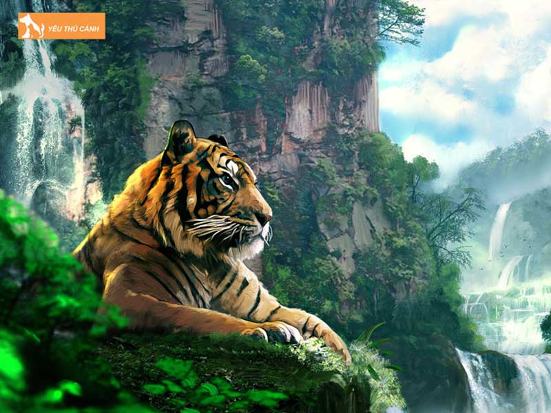 mot-so-thong-tin-ve-nguoi-tuoi-dan-va-tuoi-mao-thucanh