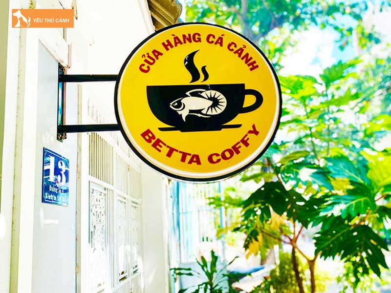 betta-coffy-thucanh