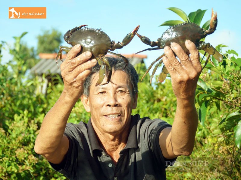 Quan-ly-cham-soc-cua-xanh-thuong-pham-thucanh