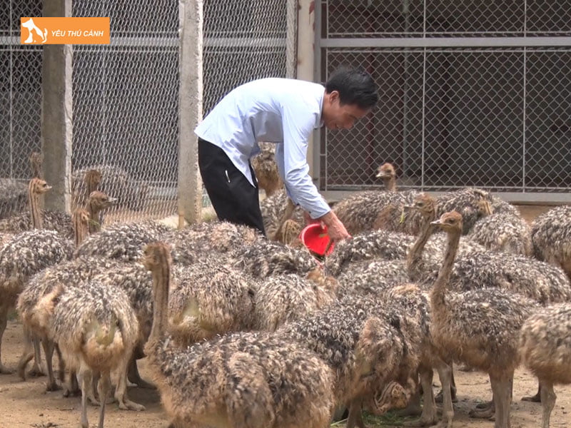 Phong-benh-cho-da-dieu-thucanh