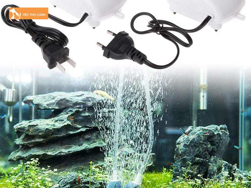 Su-dung-may-thoi-khi-thucanh