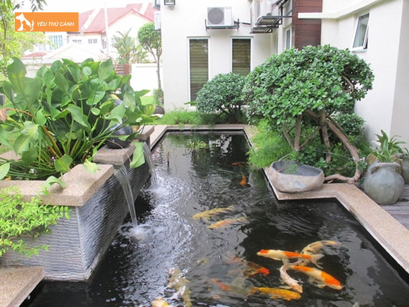 Tao-thac-nuoc-trong-ho-thucanh