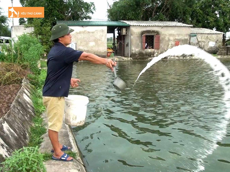 Bien-phap-phong-benh-cho-ca-tre-thucanh