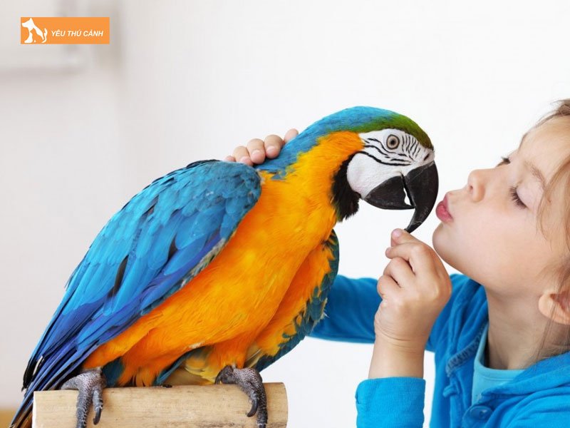 Cach-day-vet-noi-thucanh