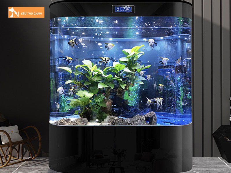 Chon-be-nuoi-ca-thucanh