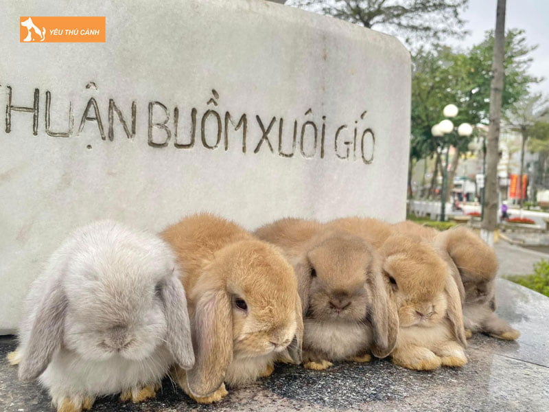 Luu-y-khi-nuoi-tho-thucanh