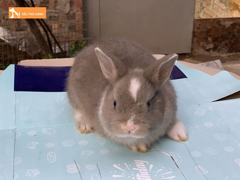 Noi-o-cua-tho-thucanh