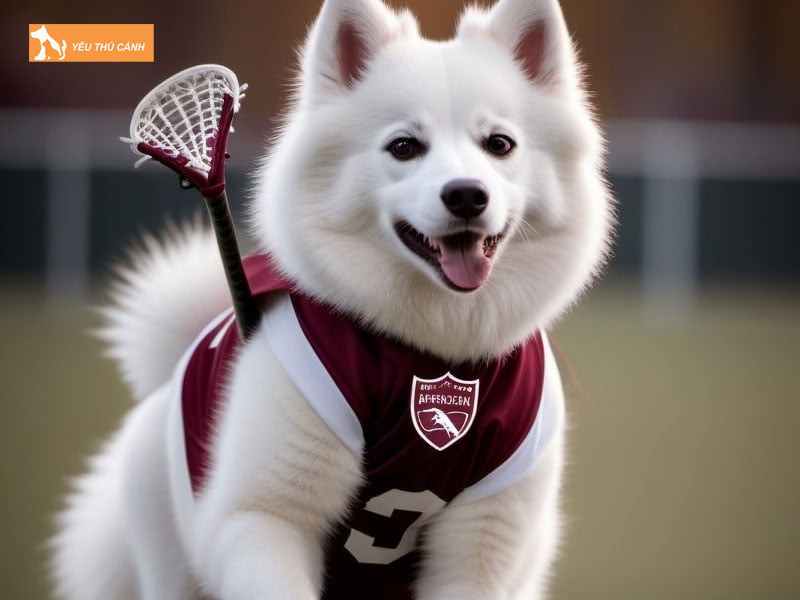 Kinh-nghiem-cham-soc-cho-eskimo-my-1-thucanh